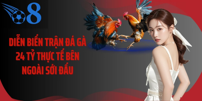 Diễn biến trận đá gà 24 tỷ thực tế bên ngoài sới đấu